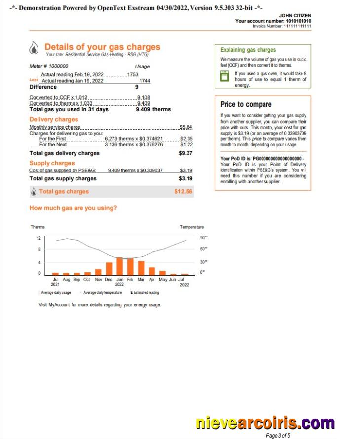 USA New York PSEG utility bill, 5 pages 3